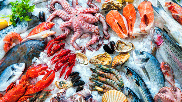 ماهی و انواع محصولات دریایی از قبیل خاویار و تن ماهی